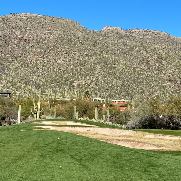 Meet your Posher, Philip - Picture 2 of 8